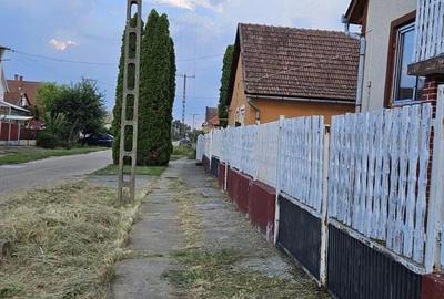 Casă cu 4 camere cu Teren 2281 Mp în Central - 4