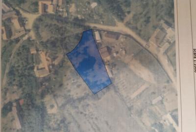 Teren de 3066 mp, în Pianu - 1