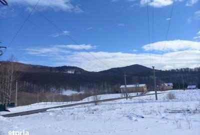 Teren de 472 mp, în Lipănești - 1