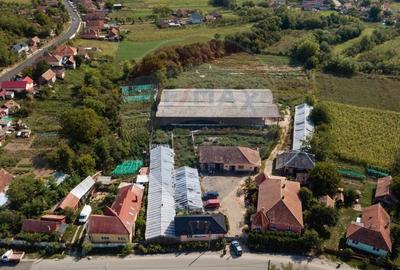 Casa cu teren si anexe, curte generoasa, potential urias - 7