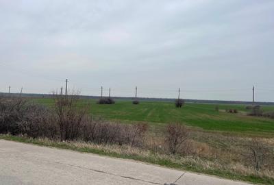 Giurgiu-Marsa Teren Agricol 8.5 Ha - 3