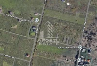 Teren de 650 mp, în Moșnița Nouă