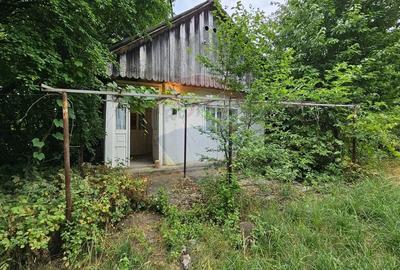 Casă individuală cu 2 camere cu Teren 9200 Mp în Pădureni (Șendriceni) - 28