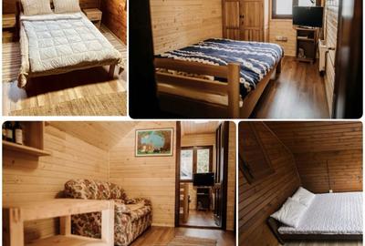 Casă cu 4 camere în Andreneasa - 1