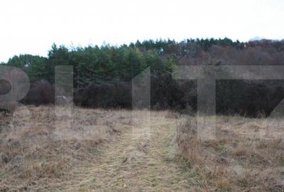 Teren intravilan, 1539 mp, zona Aapp, Faget - 3