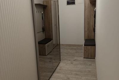 Apartament cu 2 camere, mobilat în Brazda lui Novac - 9