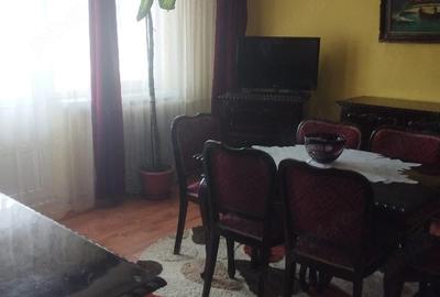 Apartament cu 2 camere semidecomandat în Prundu - 7