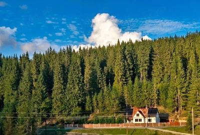 Casă cu 5 camere cu Teren 1578 Mp în Poiana Horea - 10