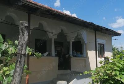 Casa de vinzare - 1