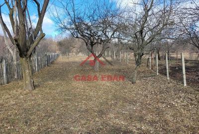 Casă cu Teren 2991 Mp în Cornu - 2