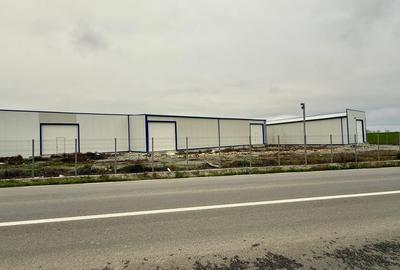 Spațiu industrial, de 500 mp, în Ovidiu - 2