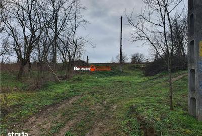 Teren de 13400 mp, în Viișoara - 5