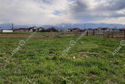 Eren intravilan 1400 mp de pe Valea Avrigului - 13