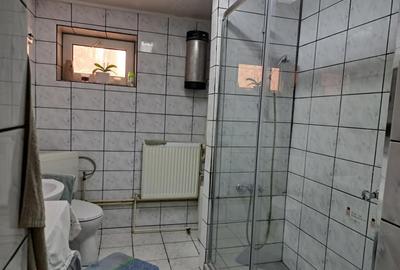 Casa mare cu 2 spatii comerciale, in Faget - 1