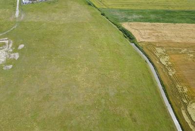 Teren intravilan de 26,606mp Sacalaz - 32