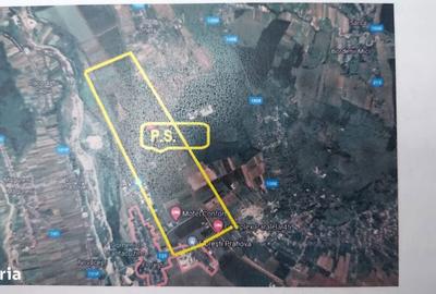 Teren de 59900 mp, în Florești - 1