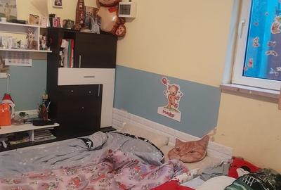 Casă cu 5 camere cu Teren 200 Mp în Pantelimon - 2