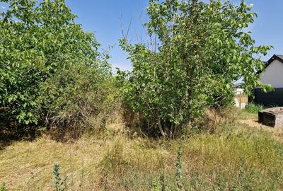 Domnesti - Ciutaci, vanzare 4 loturi de teren intravilan Domnesti - Ciutaci, vanzare 4 loturi de teren intravilan - 12