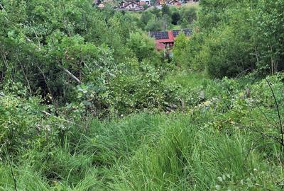Teren intravilan de 12.147 m² de vânzare în Sovata, pe strada Răchitei - 7