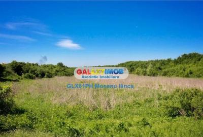 Teren 60000 mp, in Plopu, la 10 km de Ploiesti - 8