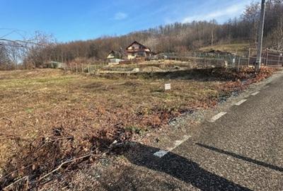 TAUTII MAGHERAUS strada 74 teren intravilan de aprox 36ari ! - 4