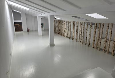 Vila interbelica de inchiriat/pretabila activitati comerciale/Victoriei - 19