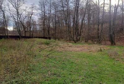 Teren Construcții intravilan de 1308 mp, în Govândari - 6