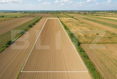 Teren de vanzare - 11.600 mp -  Stupini