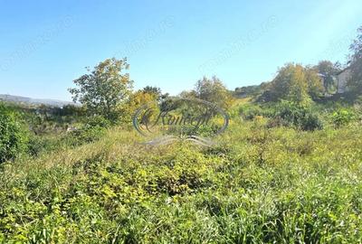 Teren intravilan cu front generos in cartierul Gruia - 2