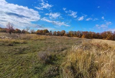 Terenuri intrevilane Comuna Mosoaia - 8