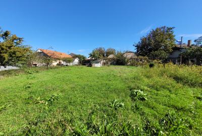 Techirghiol - casa batraneasca cu teren 750 mp - 6
