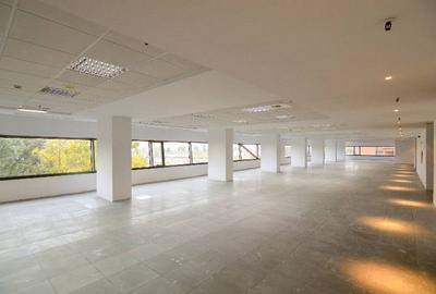 RAMS Business Center, Basarabia, 200 - 2000 mp  0% comision! - 3