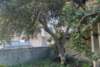 Casă cu 4 camere în Nicolae Bălcescu - 1