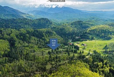 Teren intravilan Poiana Brasov - 9