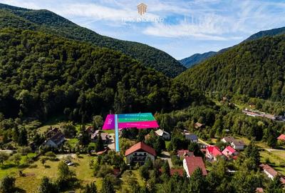 Teren de 738 mp, în Poiana - 3