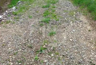 Teren de 1000 mp, în Borhanci - 2