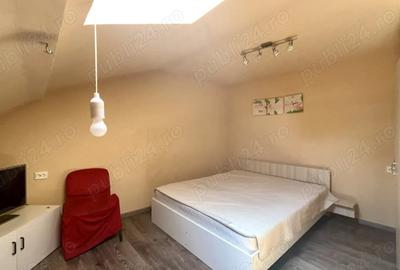 Pet Friendly Elisabetin Balcescu Maria Sinaia Medicina 2 Politehnica UVT - 3