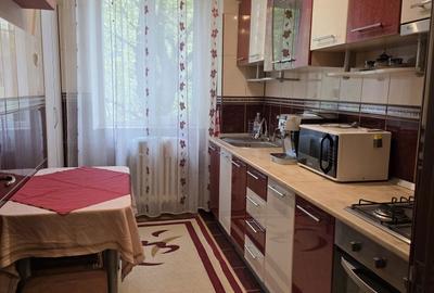 Apartament cu 2 camere decomandat în Tăuții de Sus - 2