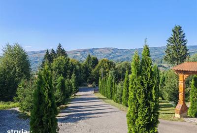 Casă cu Teren 2600 Mp în Moisei - 15