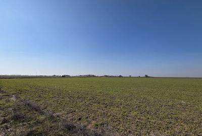 Teren agricol intravilan de 500 mp, în Corbu - 2