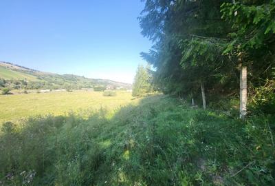 Teren Construcții intravilan de 5000 mp, în Nord - 16