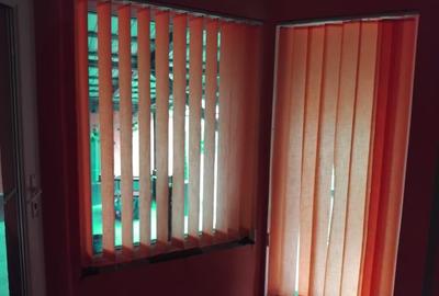 Proprietate cu 2 cladiri in Chisineu Cris - ID : RH-41243-property - 9