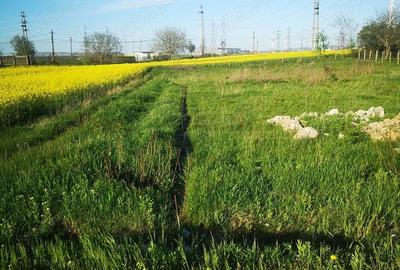 Teren de 1717 mp, în Cordun - 1