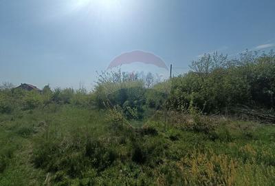 Vanzare Teren Constructii Langa Lac și Padure | Branesti | Ocazie! - 7