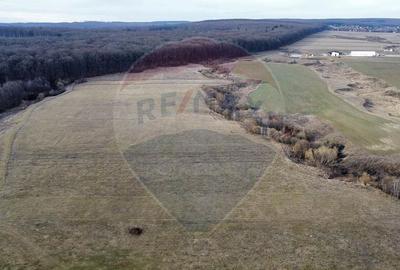 Teren 2925 mp comuna Mitocu Dragomirnei - 7