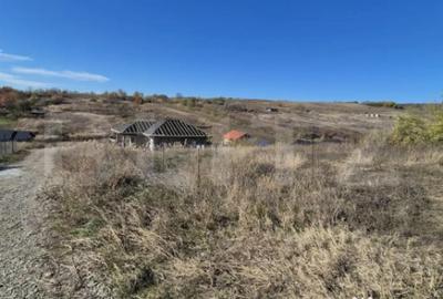 Teren în Valea Lupului - 2