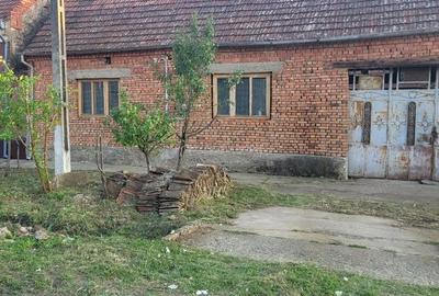 Casă cu Teren 1129 Mp în Berliște - 14