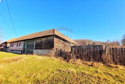 Casă individuală cu 4 camere cu Teren 10486 Mp în Ierșnic - 5