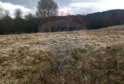 Teren agricol extravilan de 7153 mp, în Sud - 3