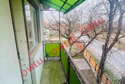 Casă cu 4 camere cu Teren 2000 Mp în Brateș - 13